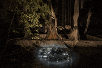 street art loop GIF by A. L. Crego