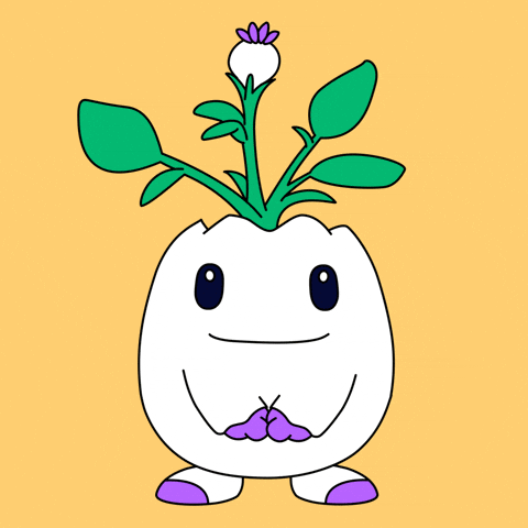 Do It Good Luck GIF by Magic Eden