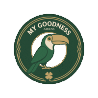 Guinness Goodness Sticker by StudioPlay