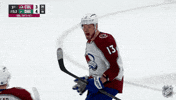 Happy Colorado Avalanche GIF by NHL