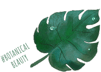 Relax Plant Sticker by I-ne