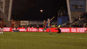 ShrewsburyTown1886 goal joker goal celebration town GIF