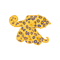 Sea Ocean Sticker by Fin Pin Shop