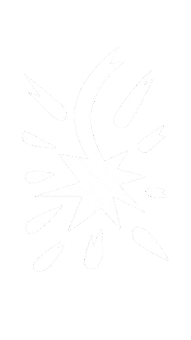 Logo Padres Sticker