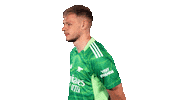 Celebrate Aaron Ramsdale Sticker by Arsenal