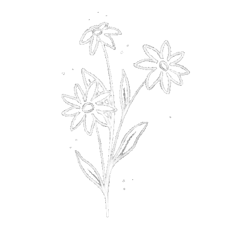 steph_fireflyatelier nature flowers plants minimal Sticker