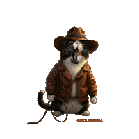 Indiana Jones Cat Sticker
