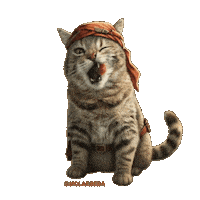 Indiana Jones Cat Sticker