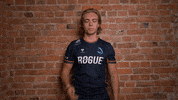 Team No GIF by Rogue