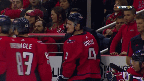 mean ice hockey GIF by Capitals