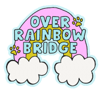 Rainbow Bridge Cat Sticker