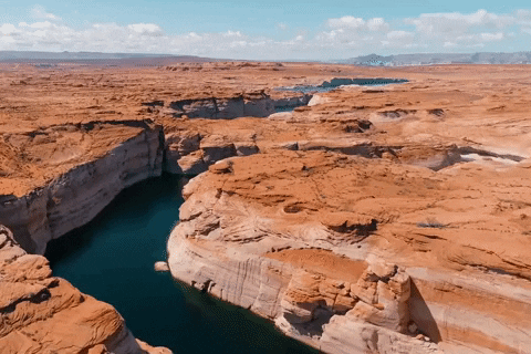 arizona GIF