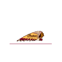 Indian Moto Sticker by RideNow Powersports