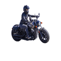 Bobber Indian Scout Sticker by Indian Motorcycle of San Diego