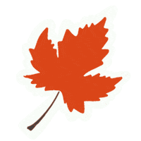 Autumn Leaves Sticker