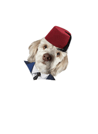 Dog Sticker by Gatooss