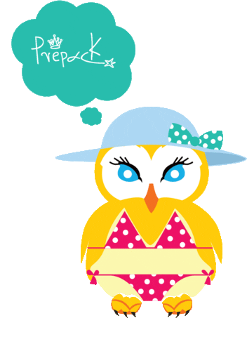 prepack wink owl wink face prepack Sticker