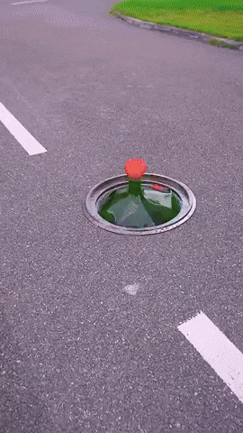 Chinese Turtle GIF