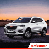 ambacarecuador  GIF