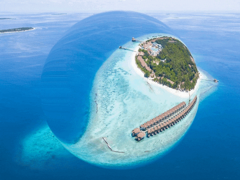 You Can Wow GIF by FranchiseONE.de