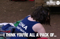 iac GIF by I'm A Celebrity... Get Me Out Of Here! Australia