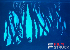 lotte reiniger animation GIF by FilmStruck