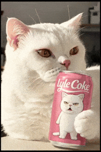 Funny Cat GIF