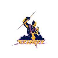 Nyc Storm Sticker by Touch Football Australia