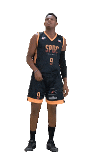 SPDC basket olympics score danca Sticker