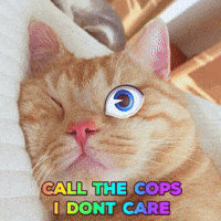 Sleepy Cat GIF by PEEKASSO