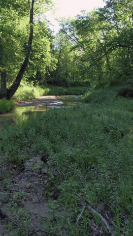 MOhunting giphyupload GIF