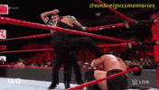 Believe That Roman Reigns GIF