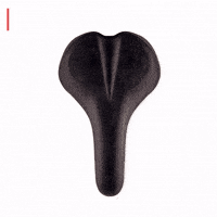 Cycle Preet GIF