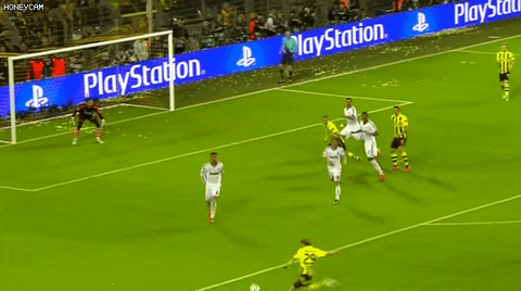 qwerpoiu22ppop giphyupload GIF