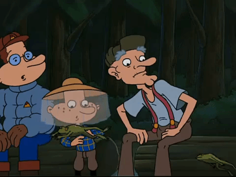hey arnold nicksplat GIF