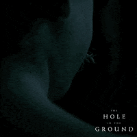 Irish Film Movie GIF by Wildcard Distribution