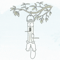 Birds Lol GIF by Simon's Cat