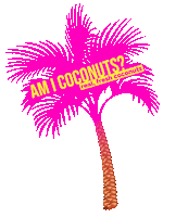 AMICoconuts florida coconut palm tree ami Sticker