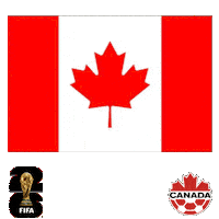 World Cup Football Sticker by Pudgy Penguins