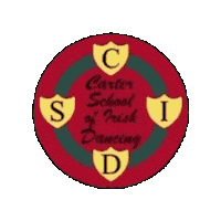 Champions Irish Sticker by Ashling Daly
