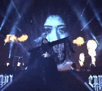 Stardom GIF