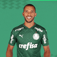 Puma Hugo GIF by SE Palmeiras
