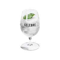 Celebreyourday Sticker by CELEBRE