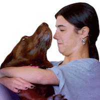 Lets Go No Sticker by HULU