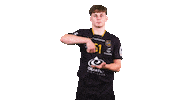 Celebration Handball Sticker by Team Chambé