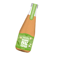 vedakombucha kombuchadrink vedakombucha kombuchaoriginal vedakombuchaoriginal Sticker