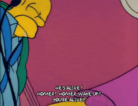 Season 2 GIF by The Simpsons