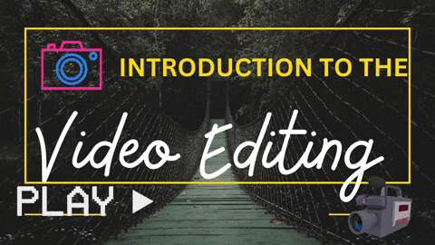 zarna123 giphygifmaker giphyattribution video editing classes in delhi video editing courses in delhi GIF