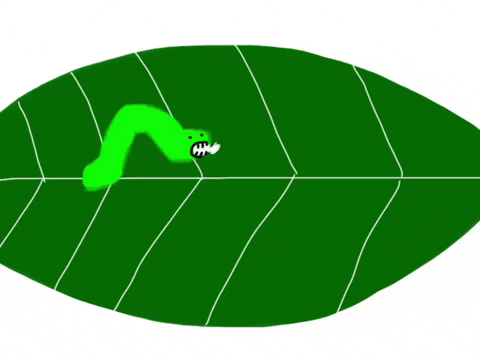 Eat Up Love GIF by Barbara Pozzi