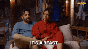 Renovate Channel 9 GIF by The Block